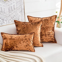 Housse de coussin carrée en velours écrasé de la série Premium avec fermeture éclair, housses de coussin épaisses de luxe pour la décoration de la maison