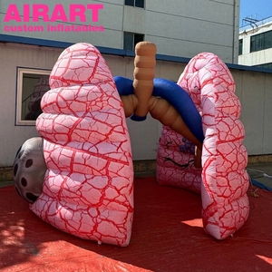Phổi Inflatable phổi sử dụng y tế Inflatable cơ quan con người bán Hot phổi inflatables - Product Image 2