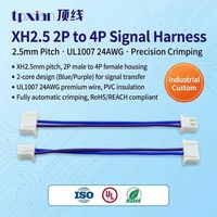Perakitan Kustom Kabel Terminal Harness JST XHP Seri 2.54mm 2 Pin ke 4 Pin