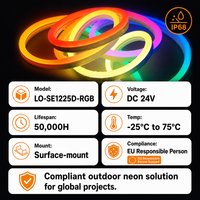 Ruban LED néon en silicone RGB personnalisé, étanche IP68, 24V -25~75 ° C for Stadium Hotel & Outdoor Facade FlexLinear