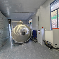 Vriesdroogmachine voor snoep, fruit, groenten en dehydratatie