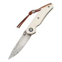 Couteau pliant en acier Damas, couteau de poche portable pour le camping et les fruits, couteau utilitaire de haute dureté, emballage en boîte