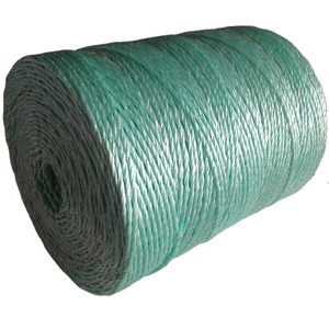 1-3Mm PP <span class=keywords><strong>Split</strong></span> <span class=keywords><strong>Film</strong></span> Đóng Gói Baler <span class=keywords><strong>Twine</strong></span> Spool Nông Nghiệp Baling <span class=keywords><strong>Twine</strong></span> <span class=keywords><strong>Twisted</strong></span> Nông Nghiệp Raffia Baler <span class=keywords><strong>Twine</strong></span> - Product Image 2