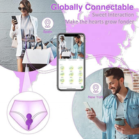 JT APP G-Punkt Vibrator Klitoris-Stimulator mit 9 Vibrationsmodi Fernbedienung Vibratoren Wasserdichtes Silikon Erwachsenen-Sexspielzeug