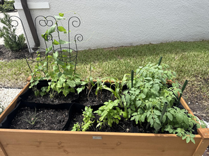 先锋毛毡织物凸起花园床透气多网格植物生长袋6 8格可重复使用蔬菜播种盒 - Product Image 6