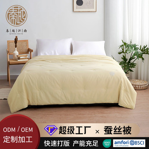 German Style <b>Winter</b> <b>Quilt</b> 200x230cm 1500g Thickened Silk Filled Breathable Home Use Double Size <b>Quilt</b> Core - Product Image 5