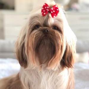 Vente flash, nœuds en ruban métallique et tissu au design sucré, pinces à cheveux adorables pour les fêtes, pinces à cheveux pour bébé fille, nœuds pour animaux de compagnie - Product Image 6