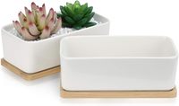 Petit plateau en bambou avec pots de fleurs pour plantes à air succulentes en céramique blanche pour conteneurs de faux cactus de jardin