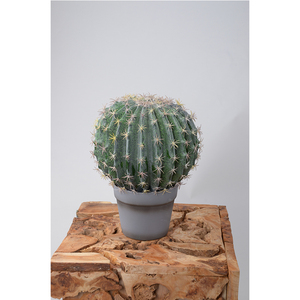 Nhân Tạo Cây Xương Rồng Nhựa <span class=keywords><strong>Bonsai</strong></span> Cây Xương Rồng Bóng Cho Các Loại Khác Nhau Của Trang Trí - Product Image 2