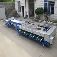Appel-, aardappel-, fruit- en groentesorteermachine