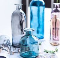 Botol kecil hidroponik transparan kering Nordik Dekorasi botol keranjang Pot bunga vas kaca Multi warna klasik