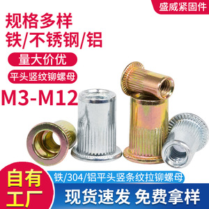 Écrous à riveter Shengwei M3-M12 en acier inoxydable 304, à tête plate, filetage interne, trou traversant, pour l'industrie de la construction - Product Image 5