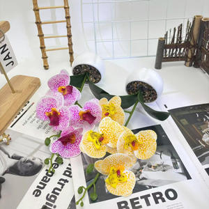 Empat bunga Phalaenopsis hujan batu Bonsai 3D dicetak Pot bunga buatan untuk kantor Desktop Dekorasi anggrek - Product Image 4