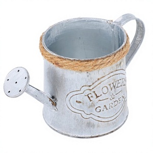 Arrosoir en zinc galvanisé avec cordon, pour jardin, usage décoratif, arrosoir en fer design - Product Image 1