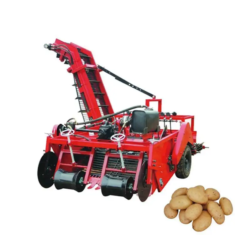 Machine à pommes de terre en forme d'oignon, à une rangée, à vendre