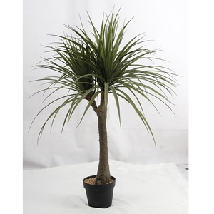 120cm(47 pulgadas) de altura 140 Uds hojas artificiales Dracaena <span class=keywords><strong>Draco</strong></span> árbol bonsái jardín dragón sangre planta única planta Artificial - Product Image 2