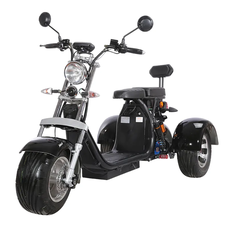 Patinete elétrico de metros ruedas pneu gordo scooter elétrico motocicleta triciclo elétrico 1000w três rodas scooter ce
