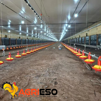 Système d'alimentation avicole haute performance pour élevages de poulets de chair, pondeuses et reproducteurs, avec alimentation par chaîne et moteur Transtecno