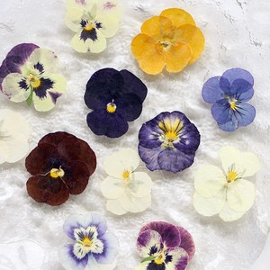 Matériaux pour boucles d'oreilles et bracelets <span class=keywords><strong>DIY</strong></span> en résine, <span class=keywords><strong>fleurs</strong></span> <span class=keywords><strong>séchées</strong></span> véritables, <span class=keywords><strong>fleurs</strong></span> pressées, accessoires sur le thème de la forêt éthérée - Product Image 2