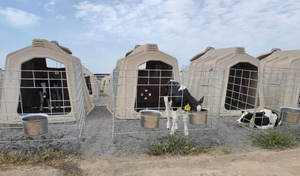 Buzağı ada paslanmaz çelik kova buzağı Corral buzağı aktivite kalem ve Fenced inek döken - Product Image 6