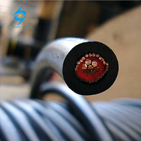 Cable de Cobre Awg Monofásico, Concentrico, Aislado con XLPE y PVC, 2x8 2x10 3x6 3x8 para Aplicaciones Aéreas