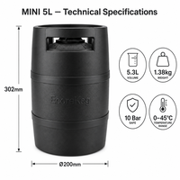 Mini-fût de bière réutilisable OEM 5L en PEHD de qualité alimentaire, portable, avec logo personnalisé, vente en gros
