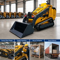 Mini-chargeuse sur chenilles compacte hydraulique EPA Euro 5 pour la ferme, livraison gratuite