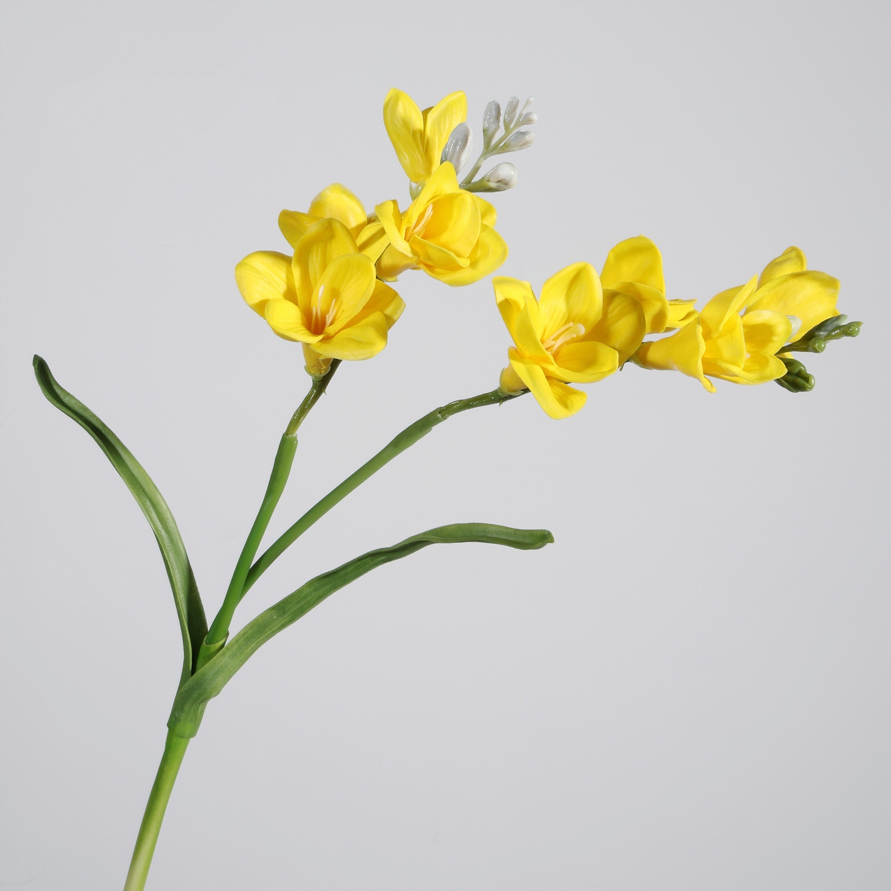 Amarillo