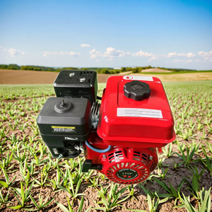 Động cơ xăng nhỏ 4 thì làm mát bằng không khí 212cc, động cơ đốt trong 6.5/7.5/8hp 5.5hp 168F 170F - Product Image 1