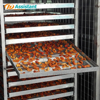 Commerciële dubbele lade fruit- en groentedroger met elektrische verwarming, PLC-besturing, voor het drogen van kruiden en specerijen.