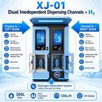 Distributeur d'eau automatique avec membrane UF 0,01 µm, filtre extérieur 24h/24, paiement par pièces et QR, OEM, kiosque en acier inoxydable