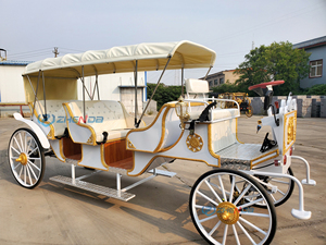 Luxury Zhenda Electric 6-Person Solid Rubber Tires Horse Carriage for Sightseeing-Best-selling - Product Image 3