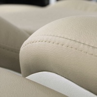 Lit de massage facial de beauté SPA, chaise faciale à vendre BN-A239S
