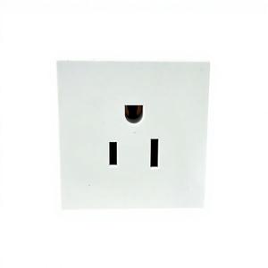 Tomada de Parede de Cobre Padrão Americano de 3 Pinos para Atacado de Fábrica - Módulo de Tomada de Energia EUA Embutido 45*45mm com 3 Saídas - Product Image 1