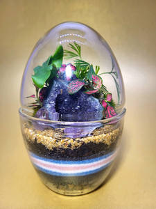 Forma di uovo vaso di vetro trasparente fioriera <span class=keywords><strong>per</strong></span> piante grasse decorazione di fiori di muschio - Product Image 5