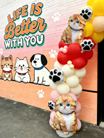 Ballons en forme de chat Ragdoll, Scottish Fold, American Shorthair pour la décoration d'anniversaire de chat, décorations de chat Kawaii