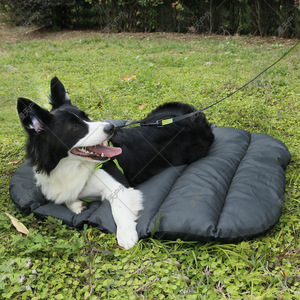 Pet Mat Type B Rectangle Outdoor Camping Foldable Dog Sleeping Pad Four Seasons Use Dirt Proof Pet <b>Cushion</b> - Product Image 1