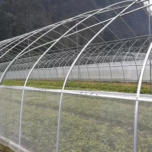 Agricultura Túnel de un solo tramo Invernadero Tienda de cultivo Forma de arco Casa verde alta para vivero