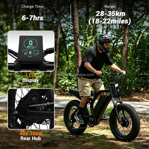 Vélo électrique à pneus larges haute vitesse 35 km/h, 750 W de puissance, 1100 W de crête, 48 V 13 Ah, pneus 20*4.0, frein à disque hydraulique, vélo tout-terrain électrique à vendre - Product Image 4
