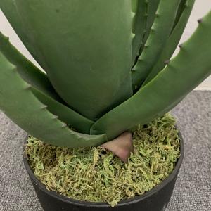Maceta Artificial <span class=keywords><strong>de</strong></span> Aloe <span class=keywords><strong>Vera</strong></span> para Decoración Interior del Hogar, Plantas Suculentas, Planta Verde, Bonsái, Maceta Suculenta <span class=keywords><strong>de</strong></span> Simulación - Product Image 4