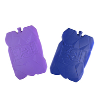 Glacière pour aliments et boissons, pour la pêche, barbecue, pique-nique, gel de qualité alimentaire, glacière, boîte réutilisable, blocs de glace