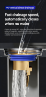 Siphon de sol universel moderne avec couvercle d'étanchéité interne, anti-parfum et anti-nuisibles, pour tuyau d'évacuation des toilettes, filtre de canalisation et anti-refoulement d'odeurs