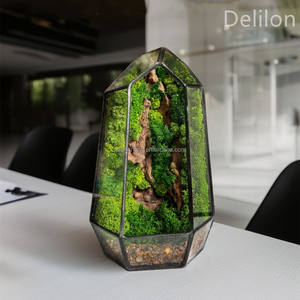 थोक टेरिरियम दुनिया लकड़ी ग्लास ज्यामितीय टेरियम मॉस के साथ थोक टेलेरियम दुनिया स्थिर मॉस - Product Image 3