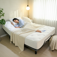 Cadre de lit électrique moderne pliable et inclinable, réglable, écologique, durable, tailles personnalisables pour la maison, l'hôtel, l'école, l'appartement