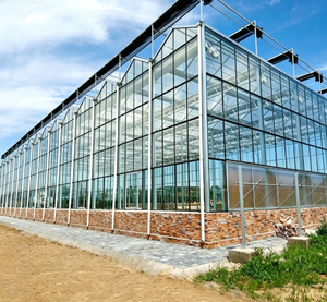 Skyplant Customized Multi-span Glass <b>Greenhouse</b> 5.5m Height Large Scale Automatic Smart Wind Resistant Commercial Agriculture - Product Image 1