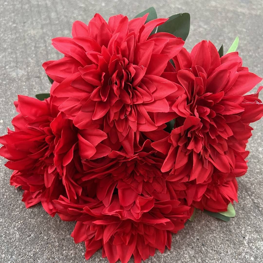 7 cabezas de dalias rojas