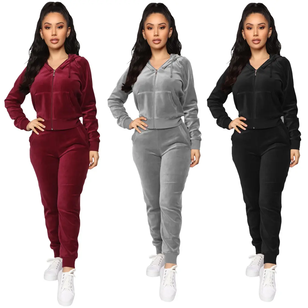 Women Velvet Velour Suit Two Piece Sets Jogging Hooded Zipper Tracksuits Wholesale 2 Piece