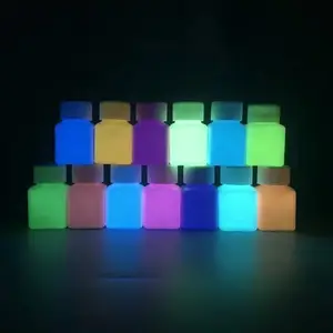 페인트 에폭시 수지에 대한 어두운 분말 안료 광 발광 안료의 다채로운 광선