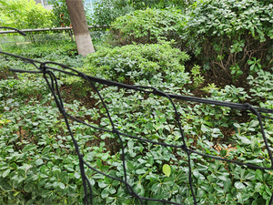 ระบบปลูกพืชอเนกประสงค์ ตาข่ายสคร็อก สีขาว 80x80 ซม. - Product Image 4