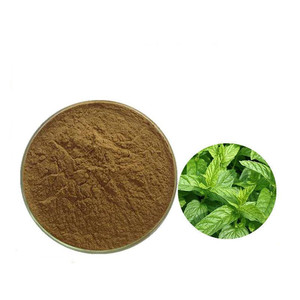 Extracto de plantas Mentha <span class=keywords><strong>Viridis</strong></span>, extracto en polvo de Mentha <span class=keywords><strong>Viridis</strong></span>, venta Global - Product Image 2